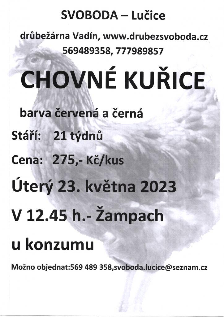Prodej kuřic 23.5.2023 ve&nbsp;12:45 u&nbsp;Konzumu